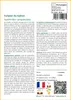 SAFLAX  - Tulipier du Gabon - 30 graines - Spathodea Voir les images du produit 3