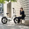 Klappbares 20 Zoll Fatbike E-Bike mit abnehmbarem Akku und Produktbild-Vorschau 12