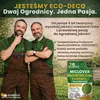 Microjetel à petites feuilles + Herbe : semences vivaces Voir les images du produit 11