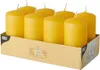 48 Papstar Stumpenkerzen Ø 50 mm, 100 mm goldgelb 17986 Produktbild-Vorschau 1
