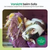 Gopets Kratzbaum Cactus - Kaktus mit Seil - Modernes Design Produktbild-Vorschau 2