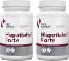 VetExpert Hepatiale Forte Small Breed - Präparat für Hunde Produktbild-Vorschau 2