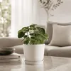 Vyveo - Bloempot Soren - Set van 2 - Zwart - 25x22 cm Productafbeelding-voorbeeld 6