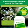 Purgrün Kletterhortensie-Dünger 1 Liter Produktbild-Vorschau 4