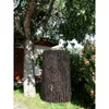 A rain barrel designed to look like a tree trunk stands in a garden next to a tree. Produktbild-Vorschau
