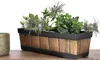 A planter box with plants on a wooden surface. Anteprima dell’immagine prodotto