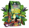Blue Orca Coffee BRAZILLIANA TOUCANO 1kg Kaffeebohnen – Produktbild-Vorschau 3