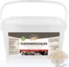 GOLDEN PEANUT Flohsamenschalen 95% ballaststoffreich hohe Produktbild-Vorschau 1