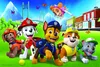 Puzzle 60 Teile Paw Patrol In The Glade Trefl 17375 Produktbild-Vorschau 2