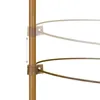 Relaxdays Rankhilfe 4er Set, Metall & Kunststoff, 60 cm Produktbild-Vorschau 8