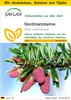 SAFLAX Anzucht Set - Nordmanntanne - Abies nordmanniana - Produktbild-Vorschau 1