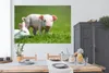 MuchoWow® Poster Ferkel - Kaninchen - Tiere 180x120 cm - Produktbild-Vorschau 3