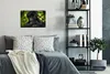 MuchoWow® Poster Nahaufnahme eines jungen Gorillas 30x20 cm Produktbild-Vorschau 4
