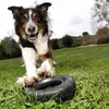 KONG Hundespielzeug KONG Tires M/L 11 cm Produktbild-Vorschau 2