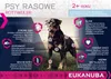 Eukanuba Breed Specific Rottweiler, Dorosły, Rottweiler, Podgląd zdjęcia produktu 8