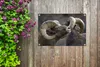 MuchoWow® Produktbild-Vorschau 5