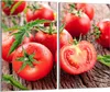 Glas-Herdplattenschutz 2x30x52 Tomaten Produktbild-Vorschau 1