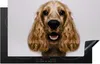KitchenYeah© Herdabdeckplatte Englischer Cockerspaniel Produktbild-Vorschau 1