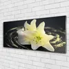 Acrylglasbilder 125x50 Wandbild Druck Blume Pflanzen Produktbild-Vorschau 2