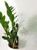 Selbstklebend Fensterfolie 45x100 cm - Blickdicht Wasser Produktbild-Vorschau 6