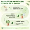 POWER SF-Nematoden gegen Trauermücken,3 Mio. für 30 Produktbild-Vorschau 5
