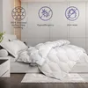 The White Stone 4 Roční období Přikrývka se sponou 180 x Náhled obrázku produktu 2