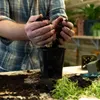 A person is potting a plant, with soil and pots on a wooden surface. Podgląd zdjęcia produktu