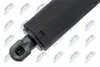 NTY AE-FR-065 Gasfeder Heckklappendämpfer für FORD Kuga Mk2 Produktbild-Vorschau 3