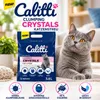 Litière agglomérante Calitti pour chats, à base de Voir les images du produit 7