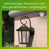 applique myGarden Buzzard Anteprima dell’immagine prodotto 20