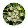 MuchoWow® Aluminium Wandkreis Foto einer einsamen Produktbild-Vorschau 1