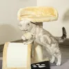 PawHut Kratzbaum Katzenbaum mit Spielbällen Katzenkratzbaum Produktbild-Vorschau 8