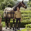 Eskadron Abschwitzdecke FLEECE CHECK Produktbild-Vorschau 5