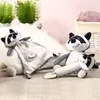 Kuscheltier mit Schnulleranhänger Racoon Rocky Baby Ono Produktbild-Vorschau 3