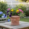 Teramico Terracotta Topf "Limoni" Frostfest optional mit Produktbild-Vorschau 4