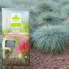 Gras-Substrat 20 l - Hochwertig - Nährstoffreich - Für Produktbild-Vorschau 6