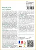 SAFLAX  - Arbre de Josué - 10 graines - Avec substrat - Voir les images du produit 3