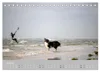Australian Shepherd 2027 (Tischkalender 2027 DIN A5 quer), Produktbild-Vorschau 9