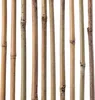 KADAX Bambusstäbe 180cm x 14/16mm, 25er Set, Pflanzstäbe Produktbild-Vorschau 3