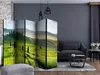Schermwand, 5-delig, enkelzijdig, van vliesbehang - Productafbeelding-voorbeeld 2