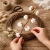 Baumwollzweig Natur 65–75cm - Getrocknet - 6 Dolden - Boho Produktbild-Vorschau 8