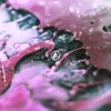 From Zero Produktbild-Vorschau 1