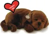 Perfect Petzzz Chocolate Labrador 96231 Podgląd zdjęcia produktu 5