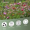 A field of wildflowers with four icons and text at the bottom. Produktbild-Vorschau