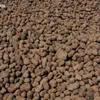 Biovita Keramzyt naturalny ogrodniczy 8-16 mm 2L Podgląd zdjęcia produktu 2