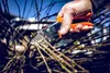 Löwe 10 | Kovadlinkové nožnice so zahnutým ostrím Náhľad obrázku produktu 3