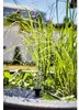 Solar Wassergarten AQUATOPIA inkl. Wasserspielpumpe - Produktbild-Vorschau 15