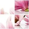 Poster - Poster ohne Rahmen - Magnolie blume natur pflanze Produktbild-Vorschau 8
