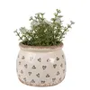 Clayre & Eef Blumentopf Ø 12x10 cm Beige Schwarz Keramik Produktbild-Vorschau 2