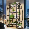 A plant stand with integrated grow lights is displayed indoors near a window with a city view at night. Produktbild-Vorschau